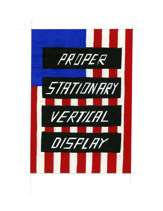 #165 FLAG RULES