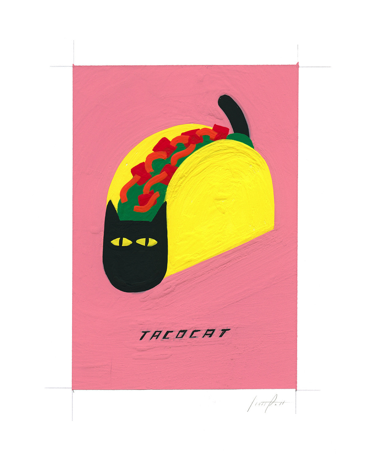 #356 TACOCAT