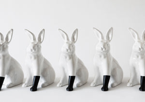 Rabbit with Foot