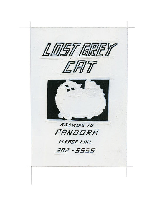 #107 LOST GREY CAT FOUND